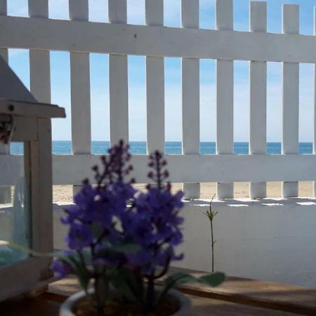 Bungalow Minonthebeach Gaeta Esterno foto